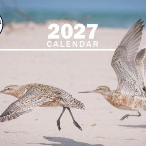 2027 Mangawhai Lions Photographic Calendar